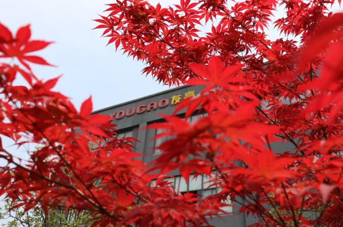 Chine Hefei Luox Yougao Technology Co., Ltd. Profil de la société 2