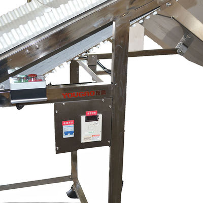 Transporteur de codage incliné de 400 W pour la machine laser d'imprimante TIJ