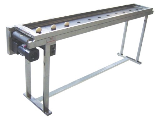 Conveyeur électronique de codage de la date des œufs en acier inoxydable
